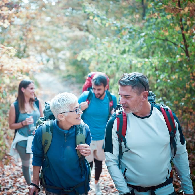 services-forest services-forest